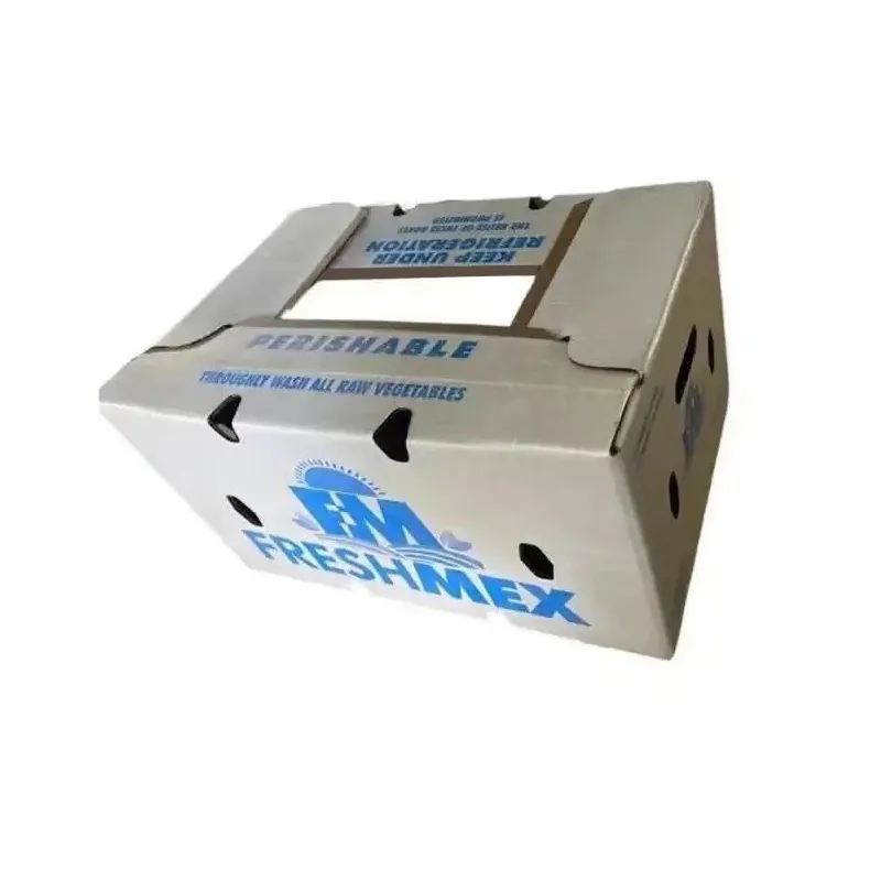 লোগো মুদ্রিত মোম ঢেউতোলা বক্স